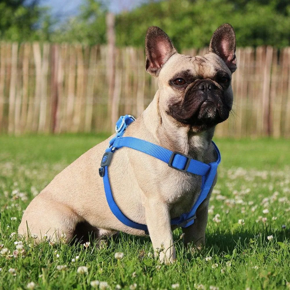 DOCO® Signature Step-In Dog Harness