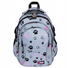 Reflective Paws 17 Inch School Bag | Stylish & Functional Backpack for Girls