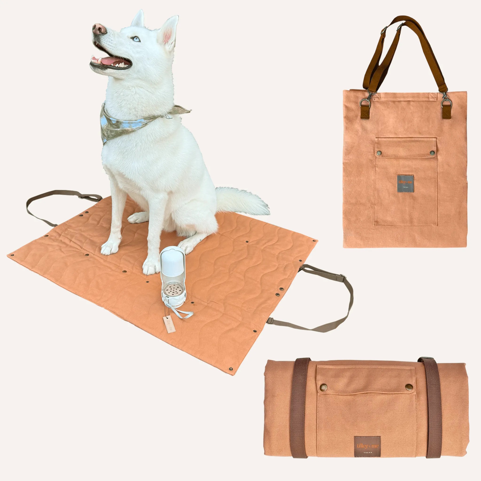 Trekk Travel Pet Mat & Bed - Convertible Messenger Style Straps with Pocket